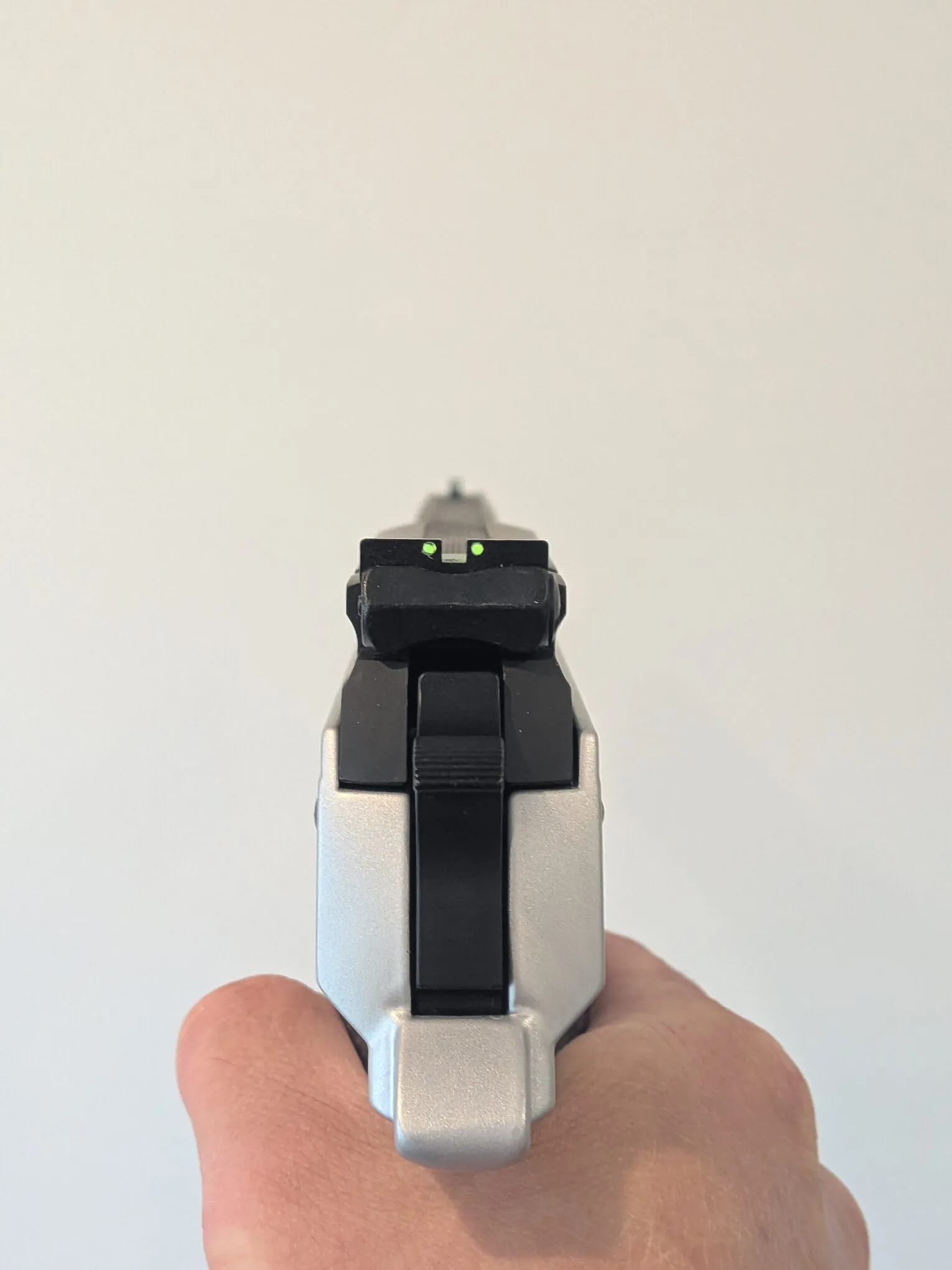 View along the HW45 sights while held in the hand